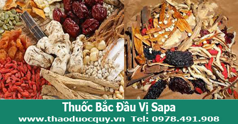 thập-to&agrave;n-đại-bổ